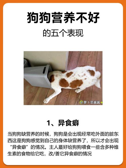 狗狗缺钙的症状有哪些-狗狗缺钙导致的内容-第5张图片 狗狗缺钙的症状有哪些-狗狗缺钙导致的内容-第5张图片