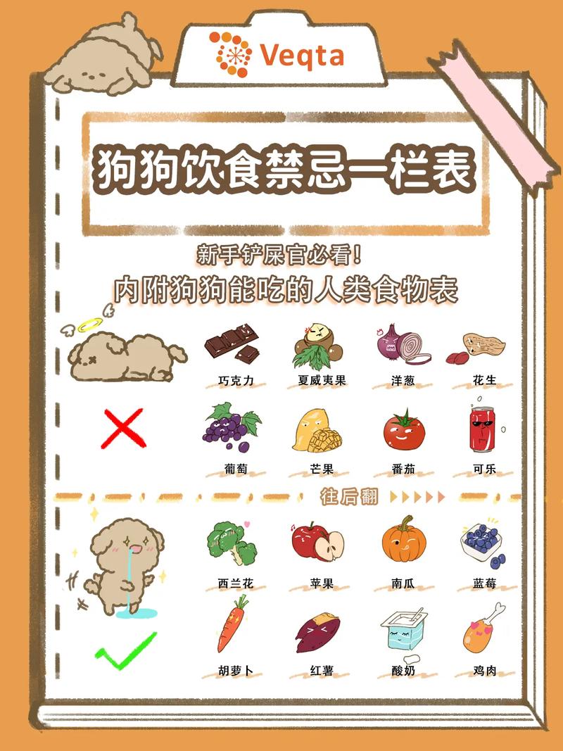 作为消费者“小狗能吃石榴吗”你不能不知道-第5张图片 作为消费者“小狗能吃石榴吗”你不能不知道-第5张图片