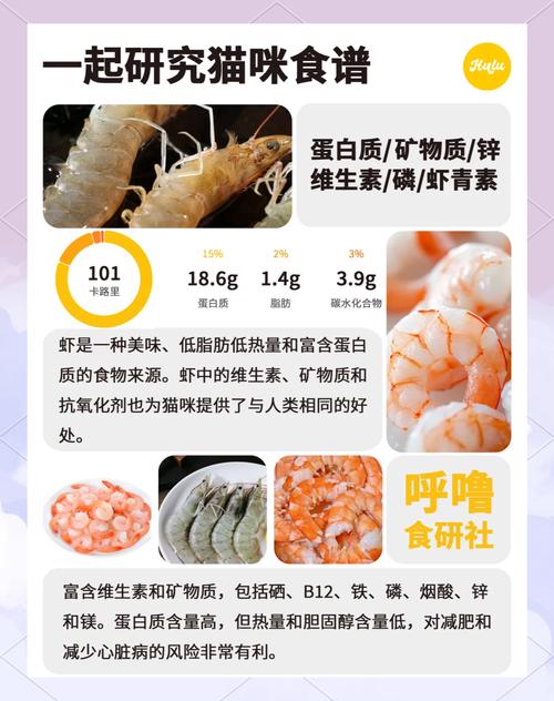 猫能吃虾吗-肾病猫能吃虾吗