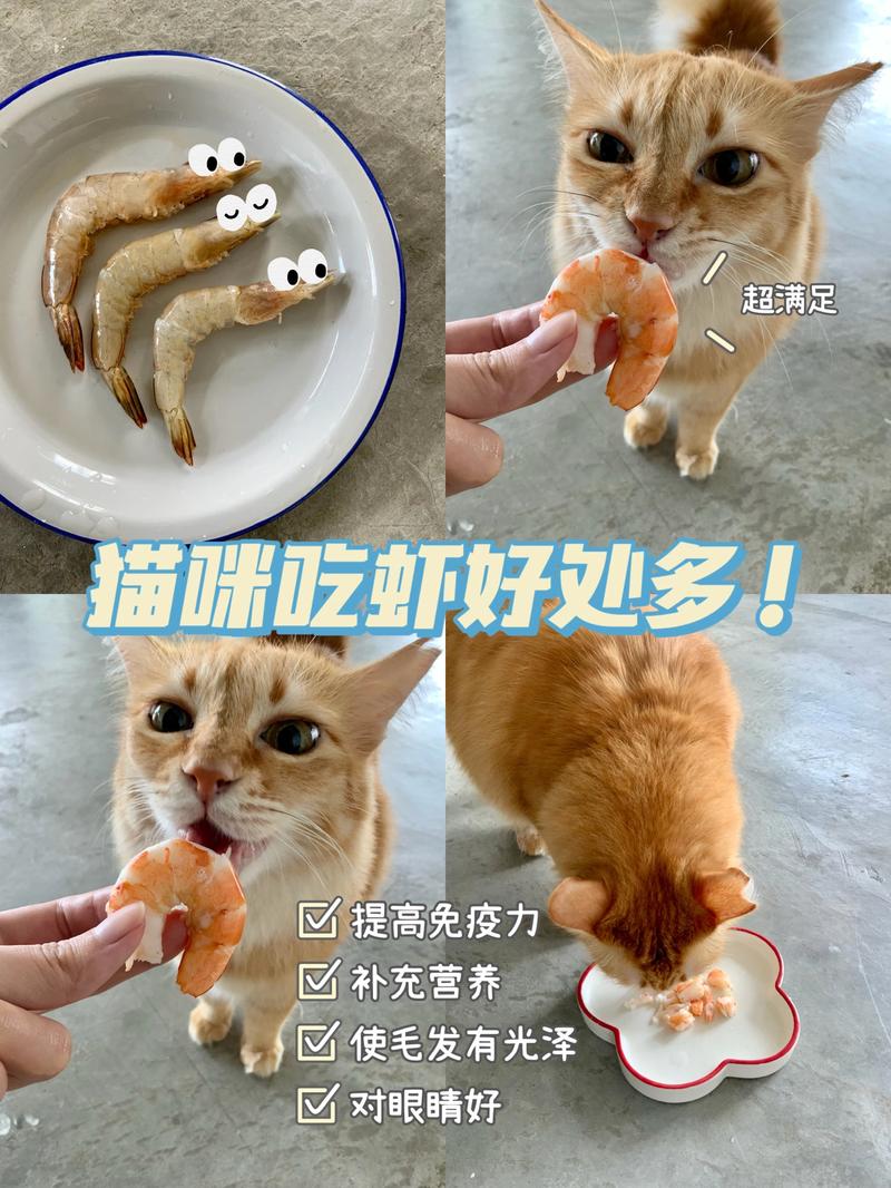 猫能吃虾吗-肾病猫能吃虾吗-第3张图片 猫能吃虾吗-肾病猫能吃虾吗-第3张图片