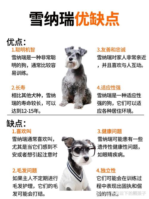 作为消费者“狗狗美容一次多少钱”你不能不知道
