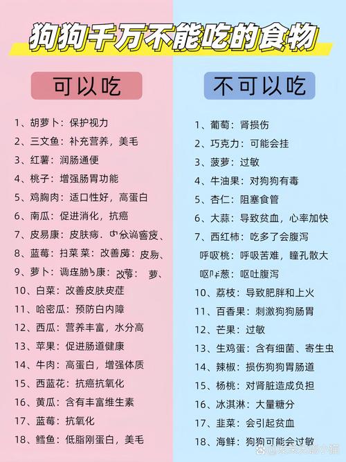 狗狗能吃红薯干吗，狗狗能吃红薯干吗有营养吗