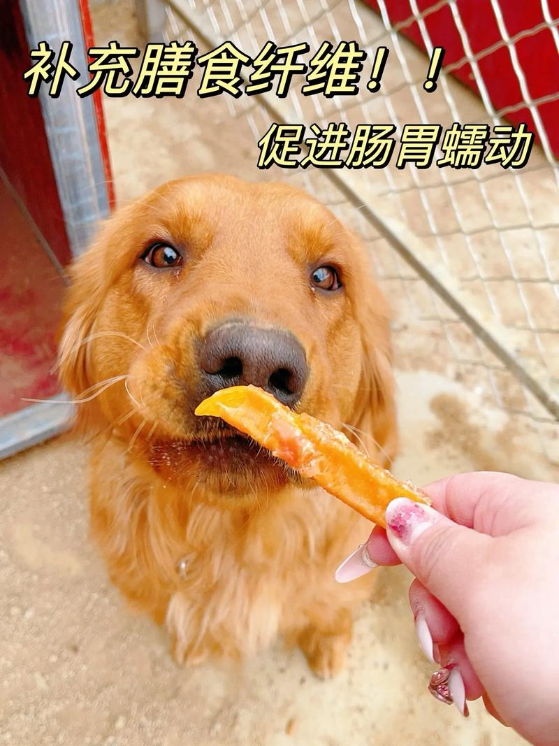 狗狗能吃红薯干吗,狗狗能吃红薯干吗有营养吗-第8张图片 狗狗能吃红薯干吗,狗狗能吃红薯干吗有营养吗-第8张图片