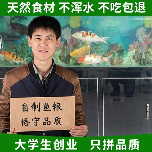 作为消费者“金鱼吃什么助消化”你不能不知道-第2张图片 作为消费者“金鱼吃什么助消化”你不能不知道-第2张图片