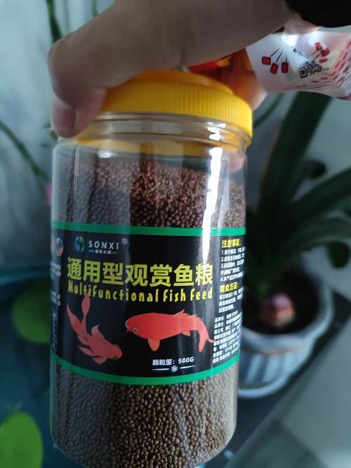 作为消费者“金鱼吃什么助消化”你不能不知道-第9张图片 作为消费者“金鱼吃什么助消化”你不能不知道-第9张图片