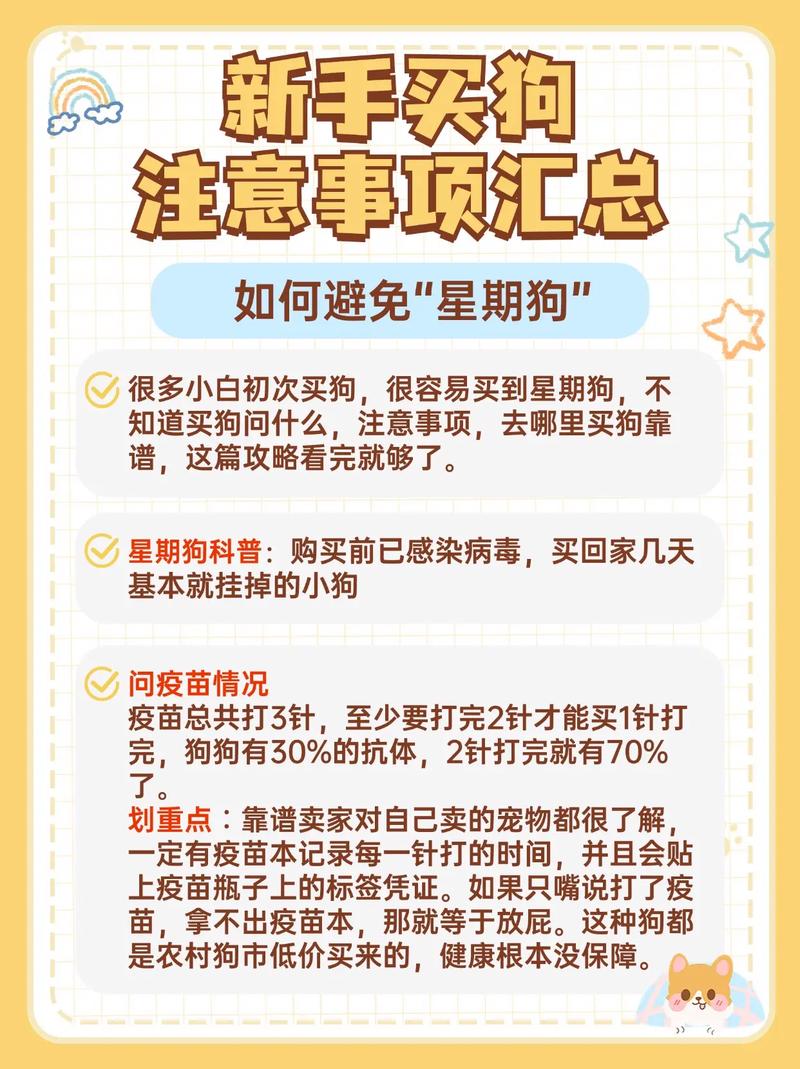 作为消费者“选狗狗需要注意什么”你不能不知道-第1张图片 作为消费者“选狗狗需要注意什么”你不能不知道-第1张图片