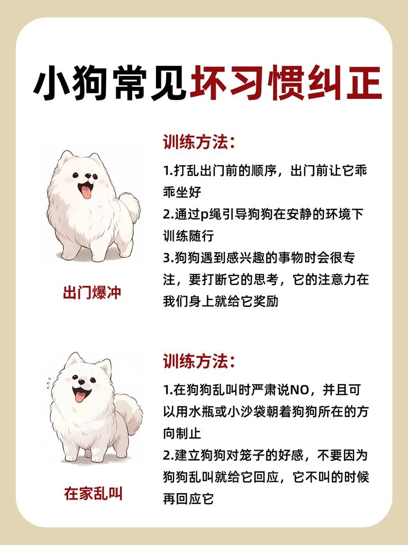 解析“怎么样才能让狗狗听话”你不知道的事-第2张图片 解析“怎么样才能让狗狗听话”你不知道的事-第2张图片