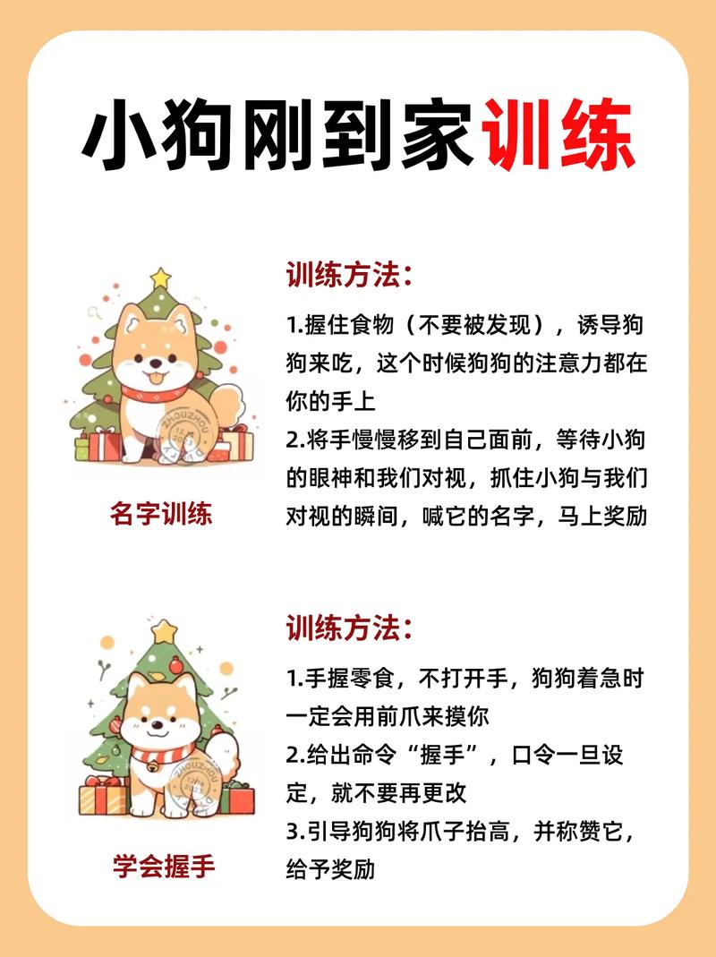 解析“怎么样才能让狗狗听话”你不知道的事-第5张图片 解析“怎么样才能让狗狗听话”你不知道的事-第5张图片