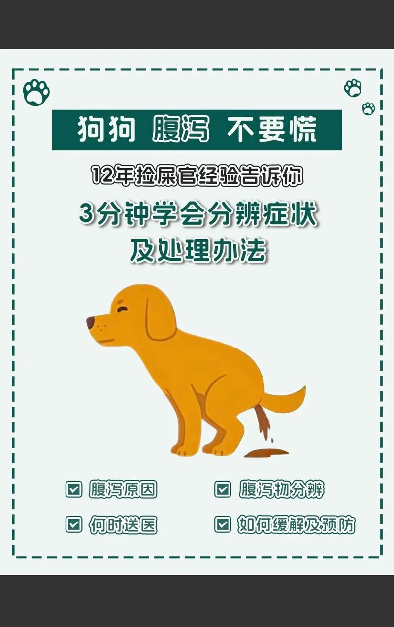 狗狗换环境拉稀正常吗,狗狗换环境乱拉屎拉尿-第4张图片 狗狗换环境拉稀正常吗,狗狗换环境乱拉屎拉尿-第4张图片