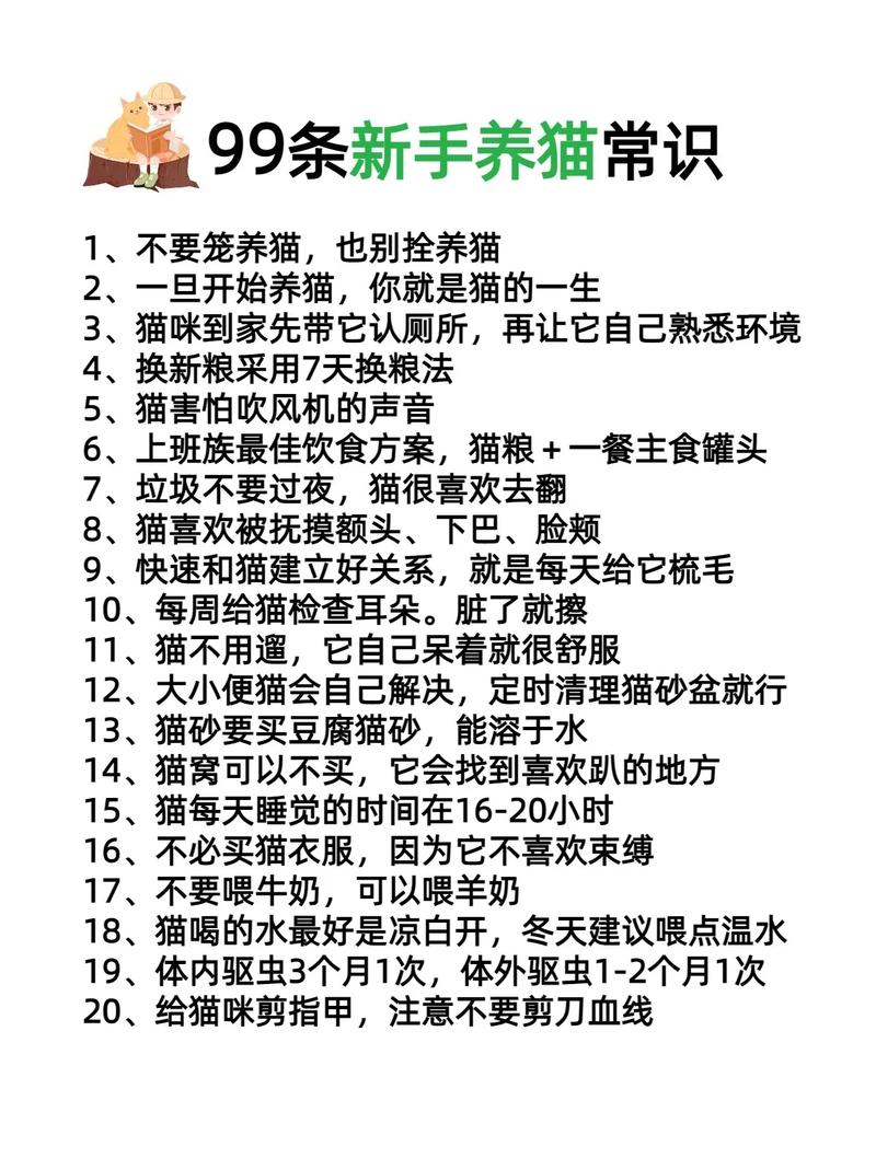 解析“矮脚猫”你不知道的事-第9张图片 解析“矮脚猫”你不知道的事-第9张图片