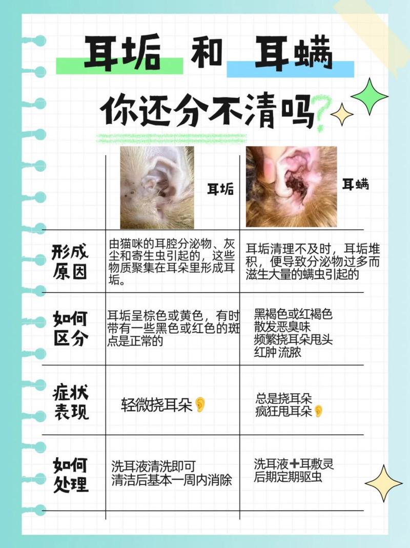 猫咪为什么会有耳螨/猫耳朵里耳螨怎么彻底清除-第8张图片 猫咪为什么会有耳螨/猫耳朵里耳螨怎么彻底清除-第8张图片