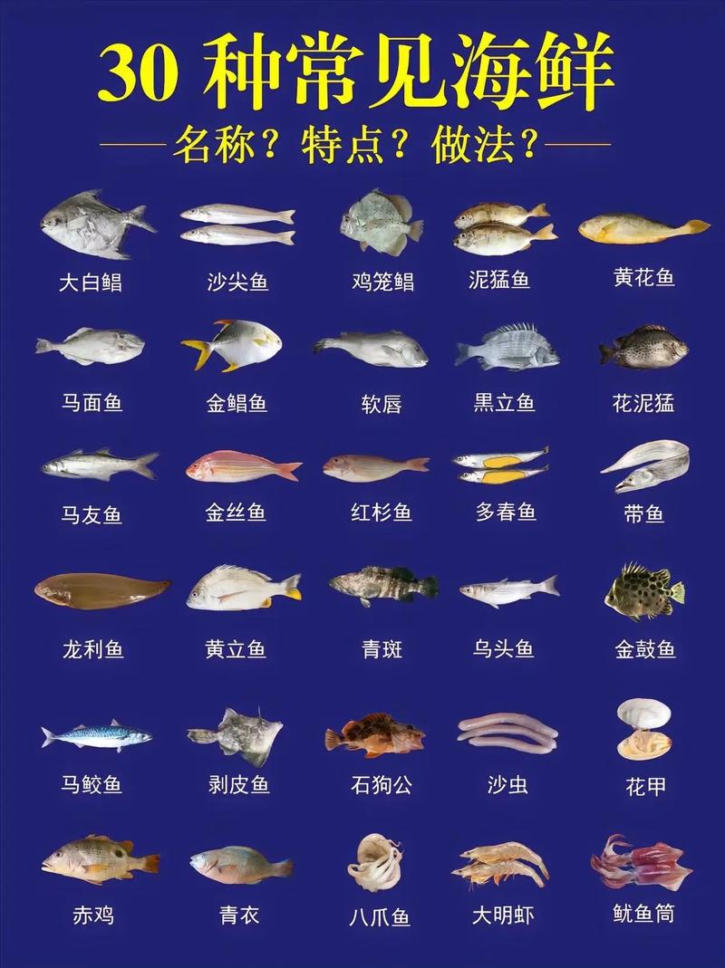100种鱼类/100种鱼类有多少黑背角-第3张图片 100种鱼类/100种鱼类有多少黑背角-第3张图片