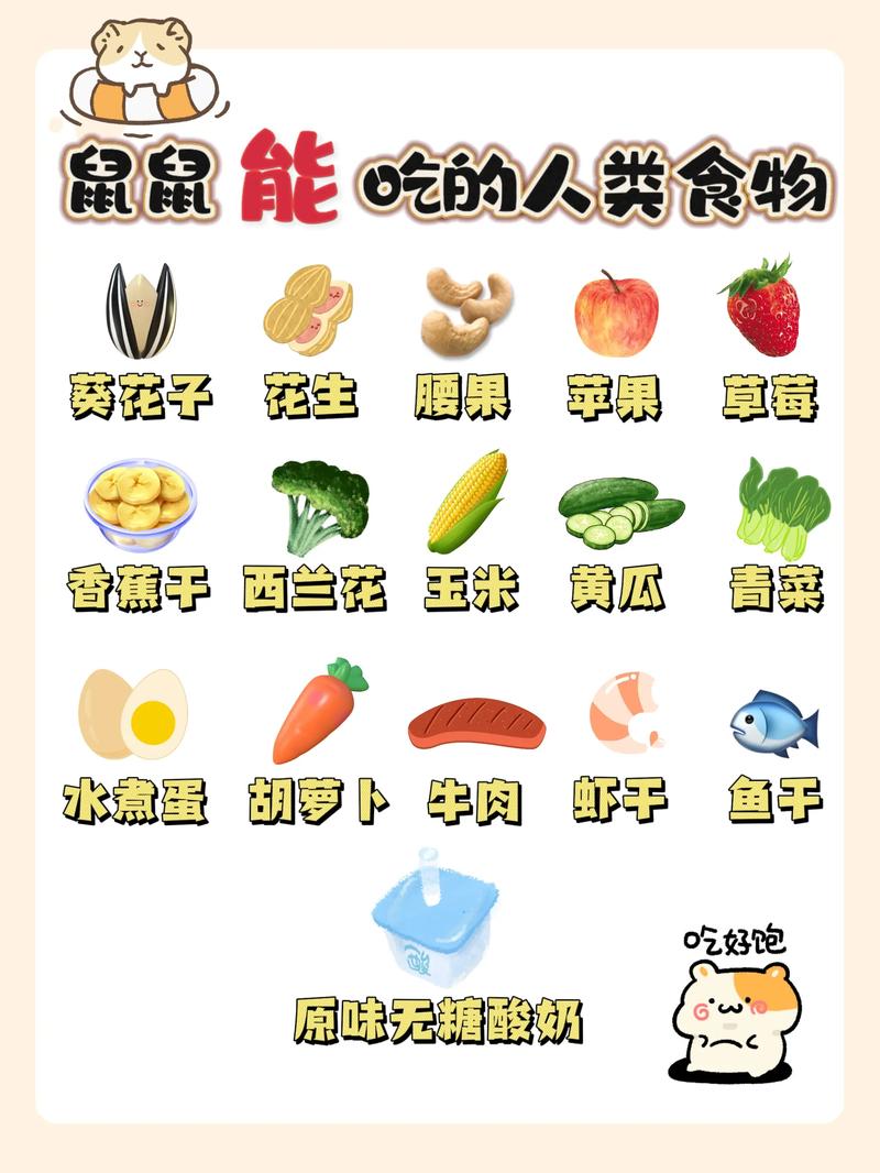 仓鼠能吃,仓鼠能吃车厘子吗-第1张图片 仓鼠能吃,仓鼠能吃车厘子吗-第1张图片