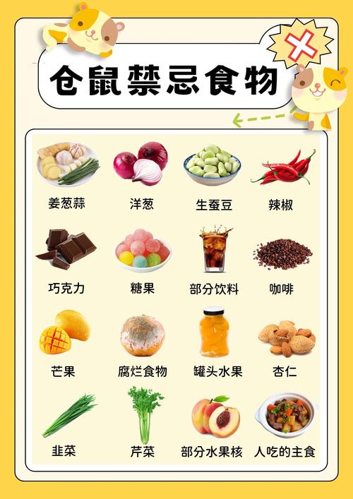 仓鼠能吃,仓鼠能吃车厘子吗-第3张图片 仓鼠能吃,仓鼠能吃车厘子吗-第3张图片