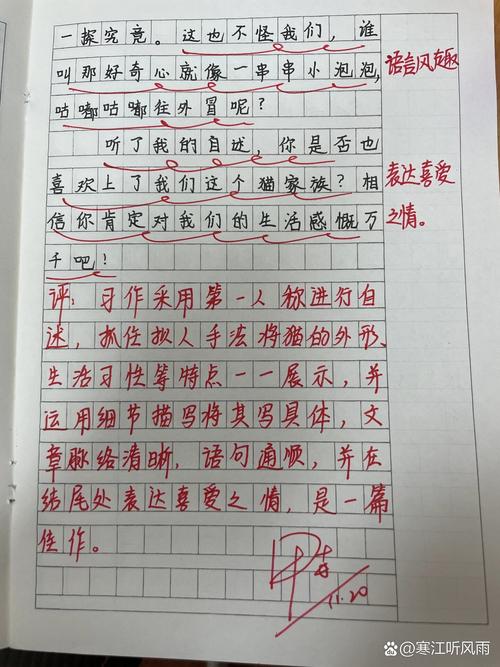 介绍猫/介绍猫咪
