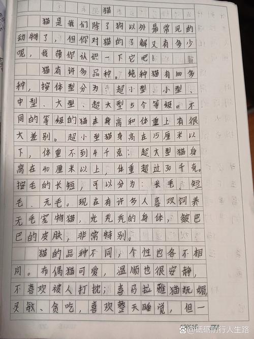 介绍猫/介绍猫咪-第2张图片 介绍猫/介绍猫咪-第2张图片