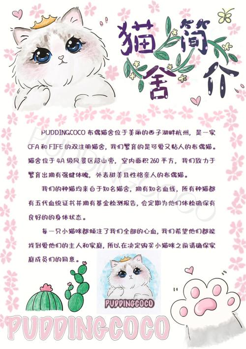 介绍猫/介绍猫咪-第4张图片 介绍猫/介绍猫咪-第4张图片