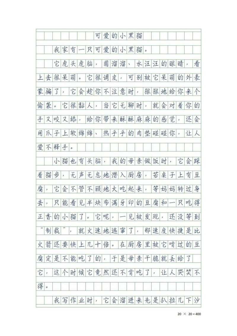 介绍猫/介绍猫咪-第5张图片 介绍猫/介绍猫咪-第5张图片