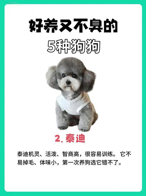 作为消费者“什么宠物好养”你不能不知道-第2张图片 作为消费者“什么宠物好养”你不能不知道-第2张图片