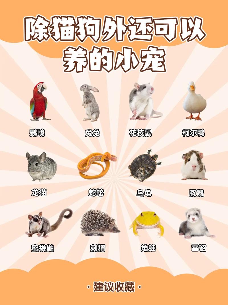 作为消费者“什么宠物好养”你不能不知道-第3张图片 作为消费者“什么宠物好养”你不能不知道-第3张图片