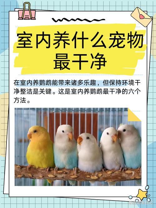 作为消费者“什么宠物好养”你不能不知道-第4张图片 作为消费者“什么宠物好养”你不能不知道-第4张图片