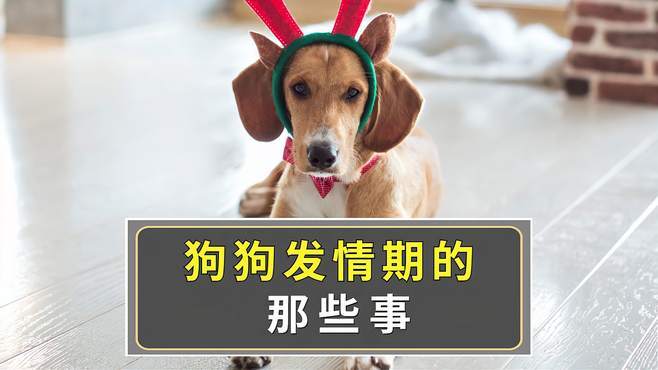 作为消费者“母狗多大发情”你不能不知道-第6张图片 作为消费者“母狗多大发情”你不能不知道-第6张图片