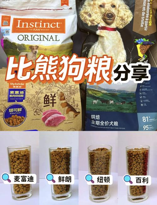 解析“比熊狗多大后不长了”你不知道的事-第3张图片 解析“比熊狗多大后不长了”你不知道的事-第3张图片