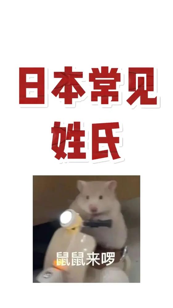 解析“猫目”你不知道的事-第1张图片 解析“猫目”你不知道的事-第1张图片
