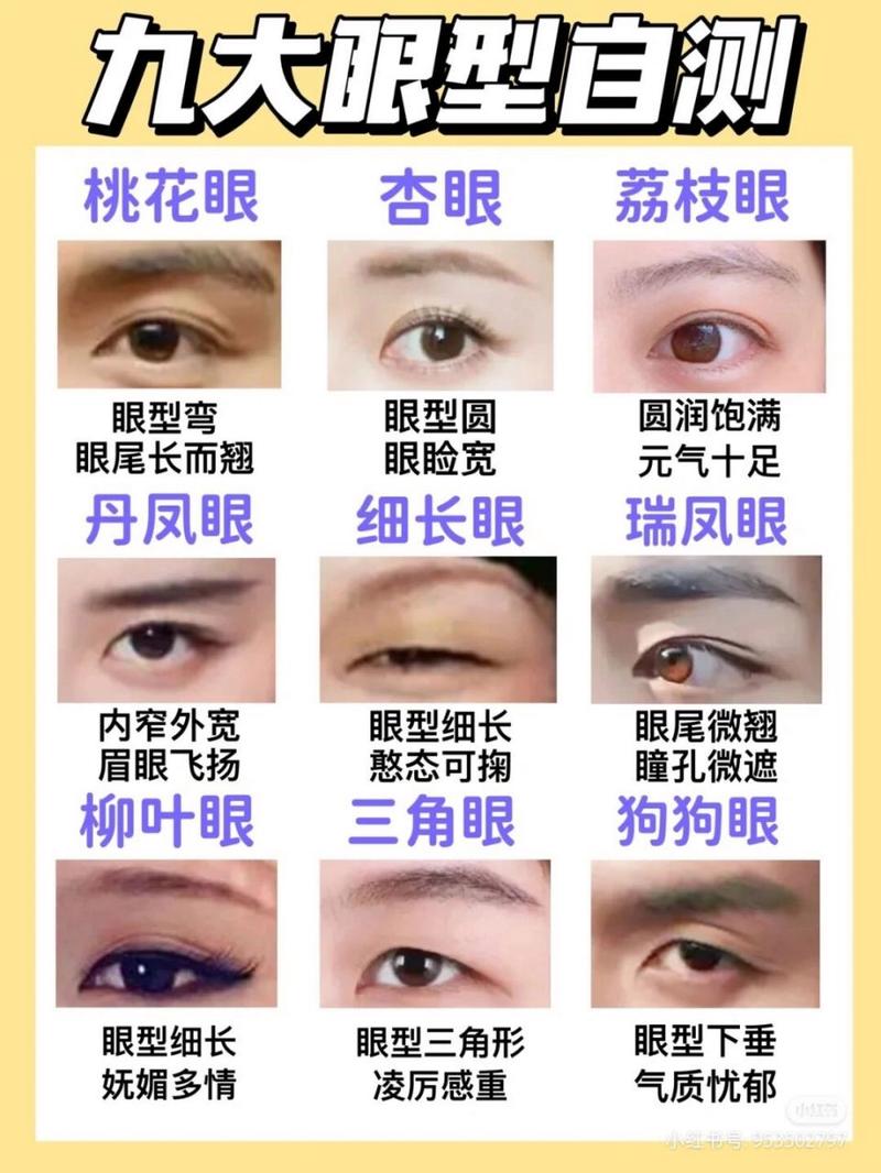 解析“猫目”你不知道的事-第7张图片 解析“猫目”你不知道的事-第7张图片