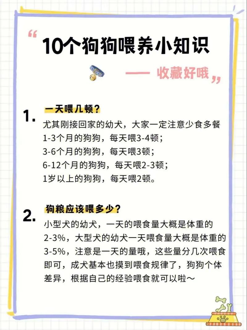 解析“狗狗吃米饭好还是狗粮好”你不知道的事-第2张图片 解析“狗狗吃米饭好还是狗粮好”你不知道的事-第2张图片