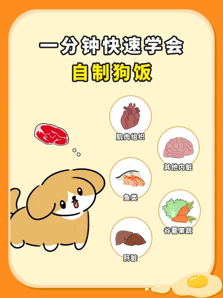 解析“狗狗吃米饭好还是狗粮好”你不知道的事-第6张图片 解析“狗狗吃米饭好还是狗粮好”你不知道的事-第6张图片