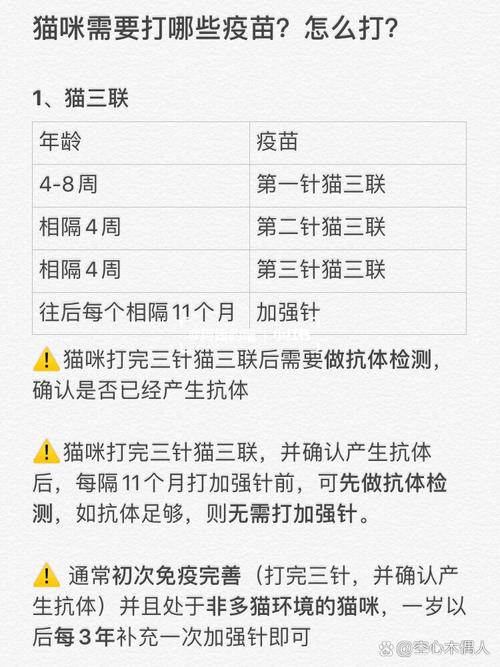 猫猫打疫苗多少钱一针,猫打针疫苗的多少钱-第2张图片 猫猫打疫苗多少钱一针,猫打针疫苗的多少钱-第2张图片