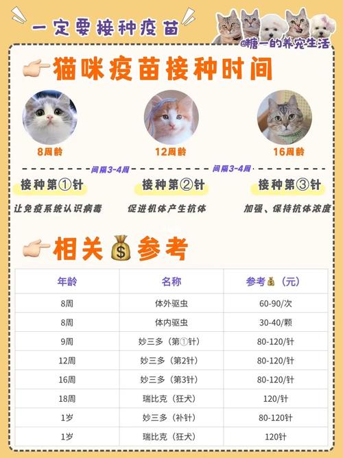 猫猫打疫苗多少钱一针,猫打针疫苗的多少钱-第4张图片 猫猫打疫苗多少钱一针,猫打针疫苗的多少钱-第4张图片