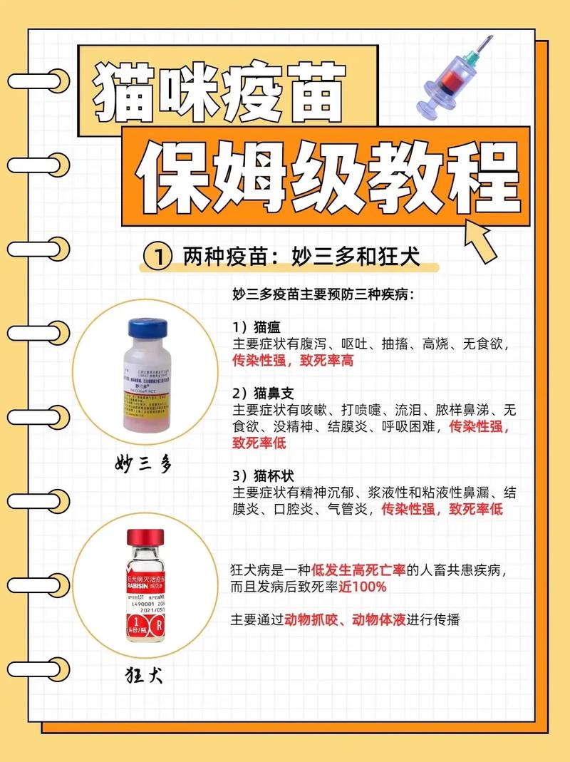 猫猫打疫苗多少钱一针,猫打针疫苗的多少钱-第8张图片 猫猫打疫苗多少钱一针,猫打针疫苗的多少钱-第8张图片