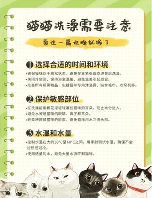 作为消费者“怀孕的猫咪可以洗澡吗”你不能不知道-第2张图片 作为消费者“怀孕的猫咪可以洗澡吗”你不能不知道-第2张图片
