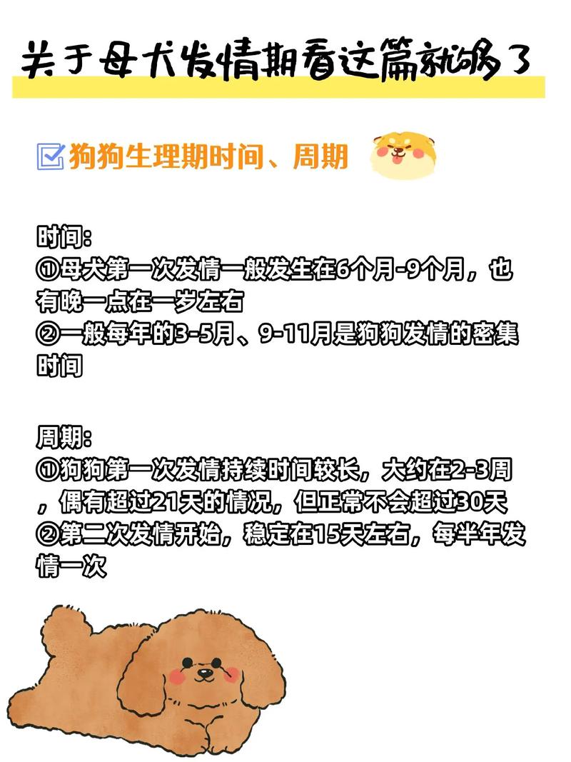 作为消费者“狗狗多长时间发一次情”你不能不知道-第3张图片 作为消费者“狗狗多长时间发一次情”你不能不知道-第3张图片