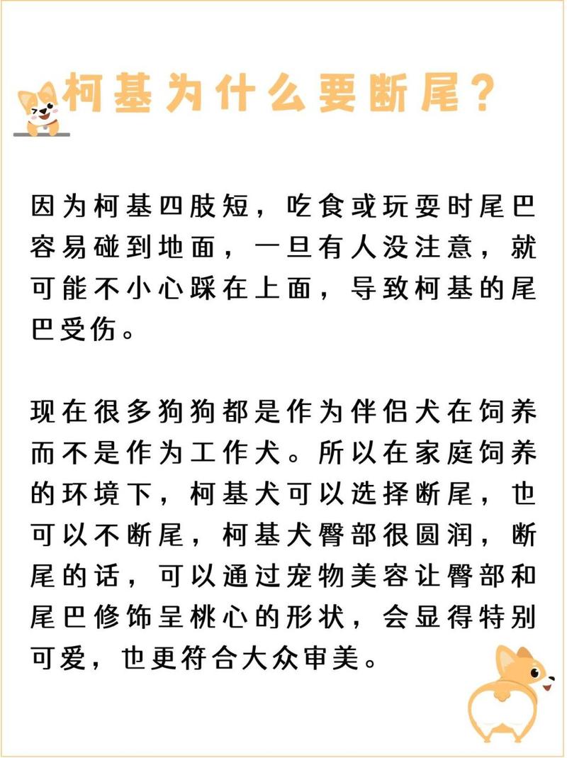柯基的尾巴是怎么掉的-柯基犬的尾巴是被剪掉的吗