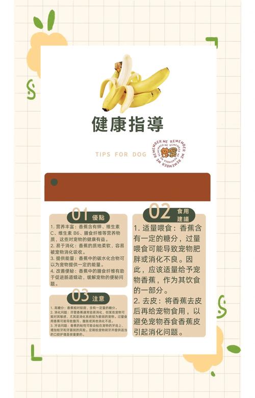 作为消费者“狗能吃香蕉吗”你不能不知道-第4张图片 作为消费者“狗能吃香蕉吗”你不能不知道-第4张图片