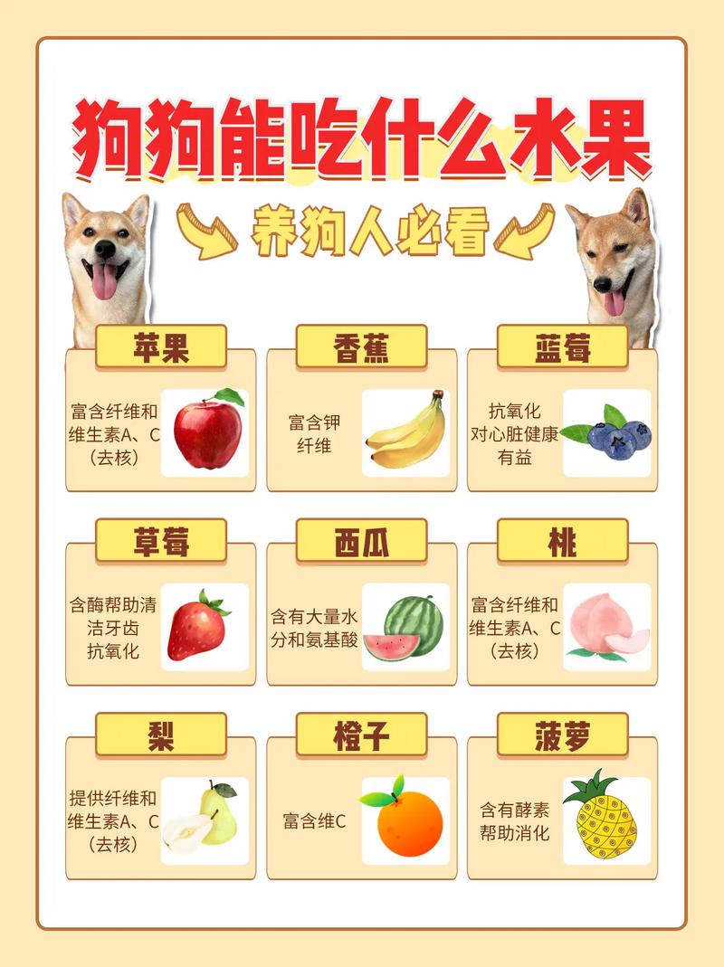 作为消费者“狗能吃香蕉吗”你不能不知道-第7张图片 作为消费者“狗能吃香蕉吗”你不能不知道-第7张图片