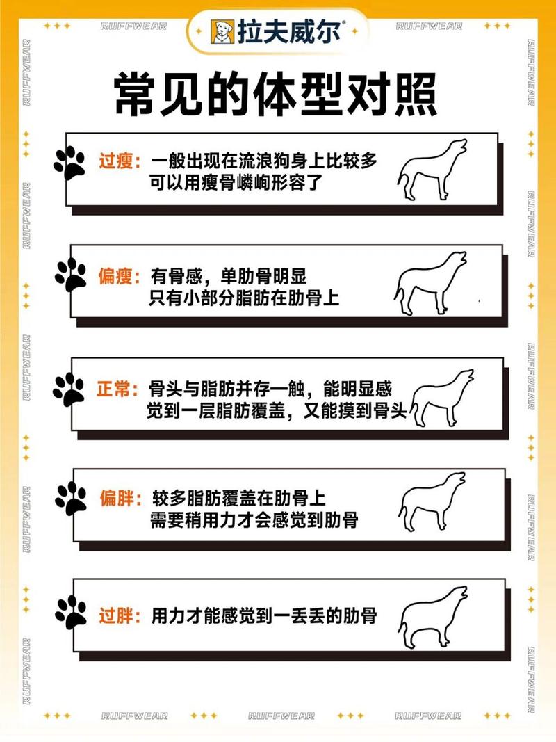 怎么判断狗狗胖瘦,怎样判断狗狗胖瘦-第1张图片 怎么判断狗狗胖瘦,怎样判断狗狗胖瘦-第1张图片