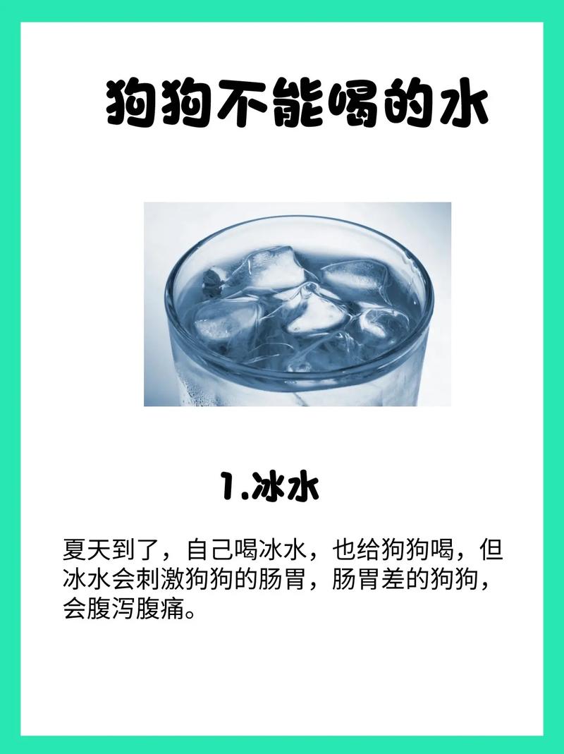 解析“狗狗多喝水好吗”你不知道的事-第3张图片 解析“狗狗多喝水好吗”你不知道的事-第3张图片