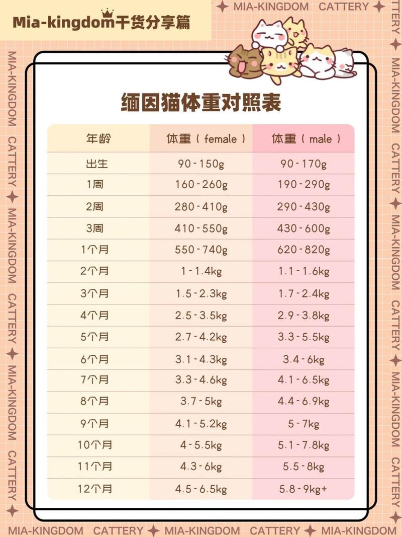 解析“猫咪体重对照表”你不知道的事-第2张图片 解析“猫咪体重对照表”你不知道的事-第2张图片