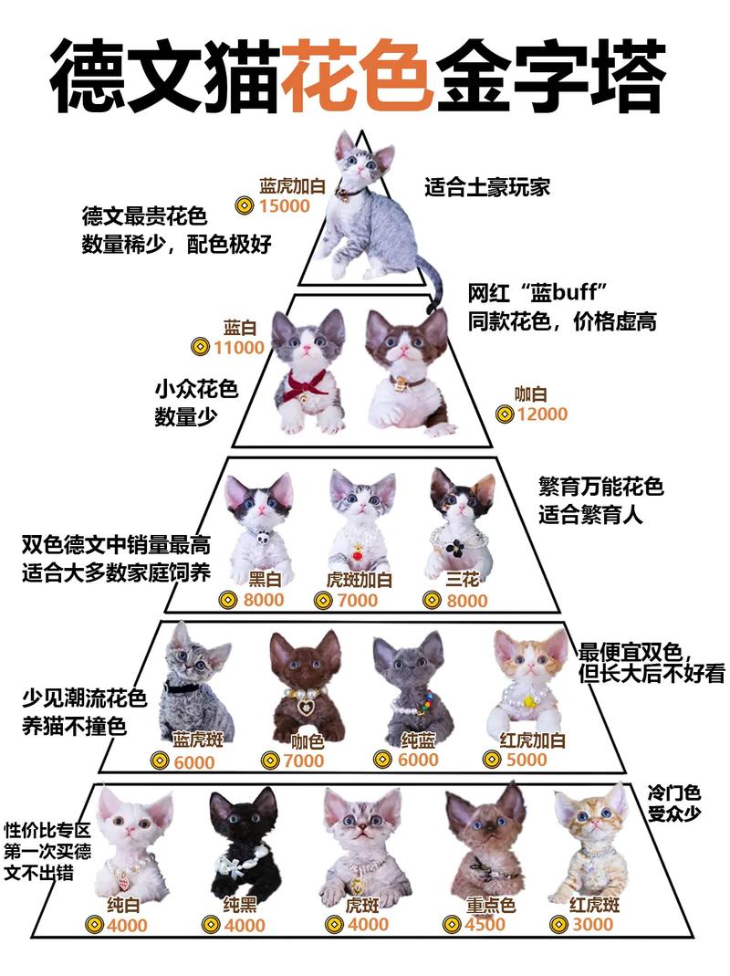 解析“猫咪体重对照表”你不知道的事-第4张图片 解析“猫咪体重对照表”你不知道的事-第4张图片