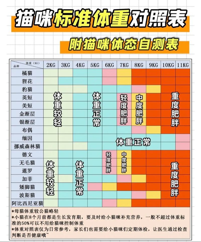 解析“猫咪体重对照表”你不知道的事-第5张图片 解析“猫咪体重对照表”你不知道的事-第5张图片