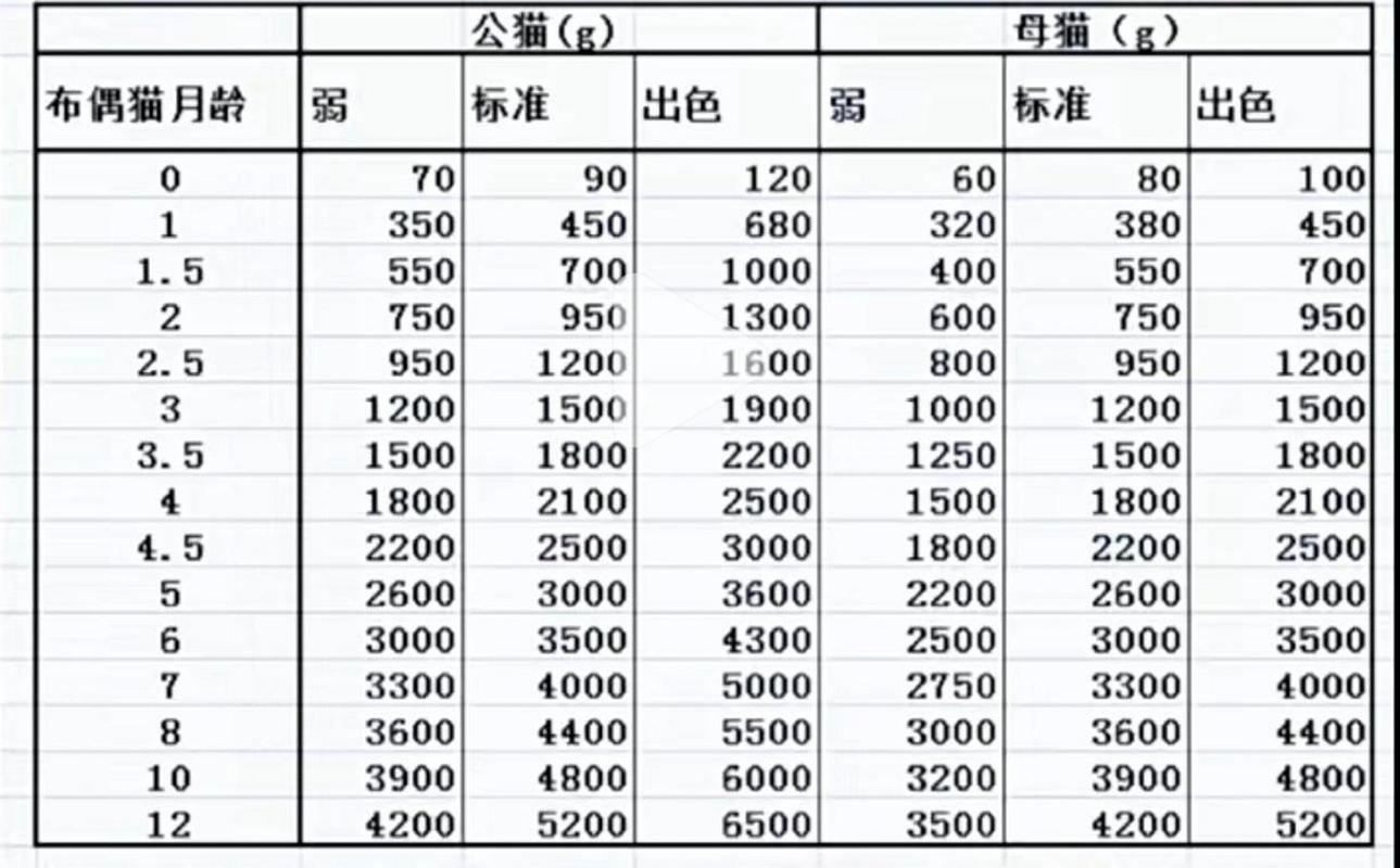 解析“猫咪体重对照表”你不知道的事-第8张图片 解析“猫咪体重对照表”你不知道的事-第8张图片