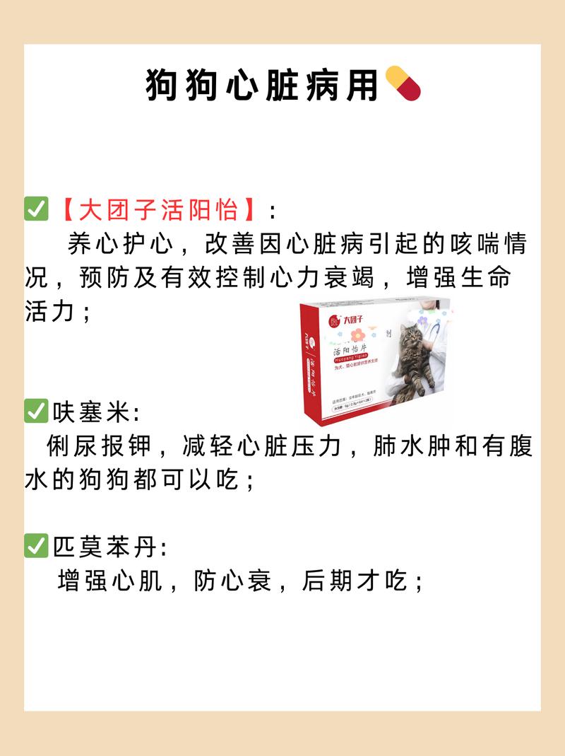 解析“狗狗呼吸频率多少正常”你不知道的事-第3张图片 解析“狗狗呼吸频率多少正常”你不知道的事-第3张图片