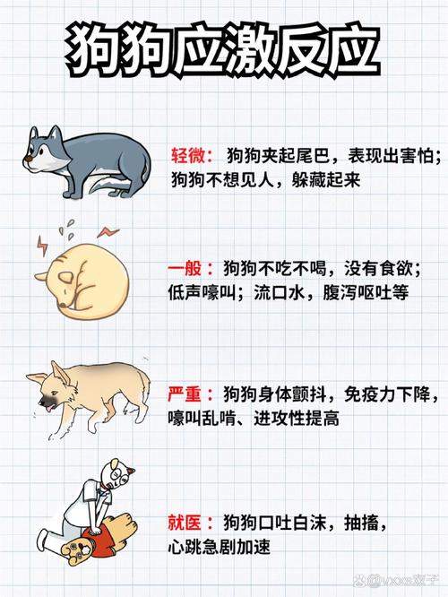 解析“狗狗呼吸频率多少正常”你不知道的事-第7张图片 解析“狗狗呼吸频率多少正常”你不知道的事-第7张图片