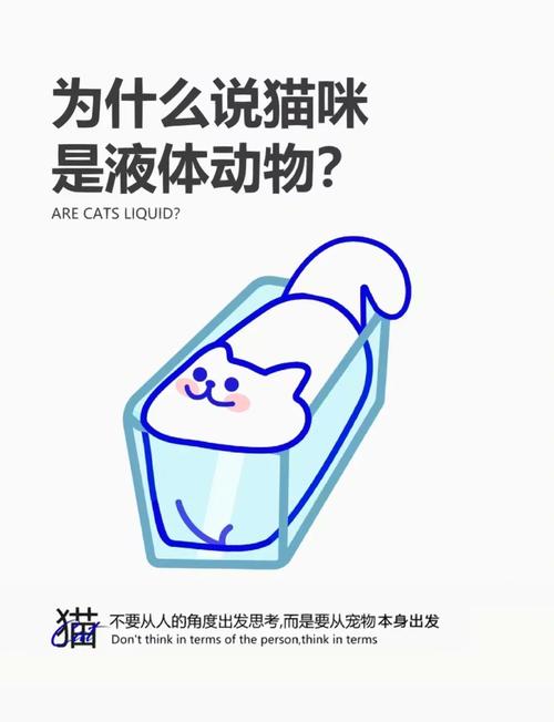 猫咪缩在小盒子里/猫咪缩在小盒子里怎么回事-第8张图片 猫咪缩在小盒子里/猫咪缩在小盒子里怎么回事-第8张图片