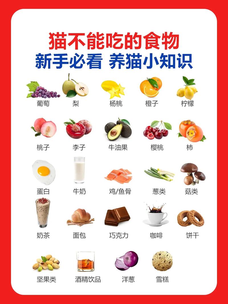 作为消费者“猫可以吃海苔吗”你不能不知道-第1张图片 作为消费者“猫可以吃海苔吗”你不能不知道-第1张图片