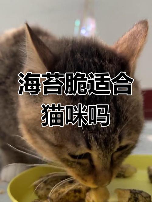 作为消费者“猫可以吃海苔吗”你不能不知道-第3张图片 作为消费者“猫可以吃海苔吗”你不能不知道-第3张图片